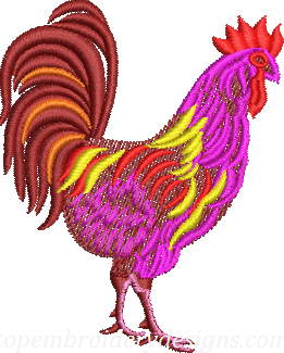 Rooster