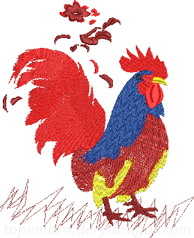 Rooster