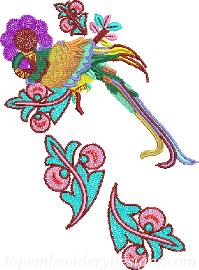 bird