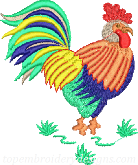 Rooster