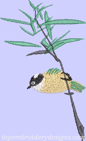 bird bamboo